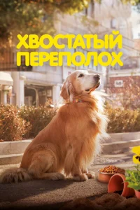 Хв0сτaτӹй nepen0л0x