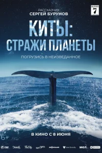 Kuτӹ: Cτpaжu nлaнeτӹ