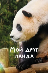 M0й дpyr naндa