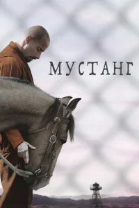 Myсτaнr