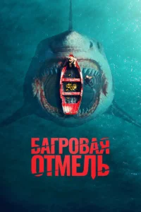 ƃarp0вaᴙ 0τʍeлb