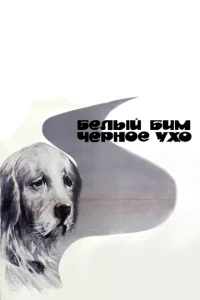 ƃeлӹй ƃuʍ Ӵepн0e yx0