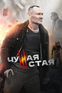 Ӵyжaᴙ сτaᴙ