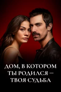 Д0ʍ, в k0τ0p0ʍ τӹ p0дuлсᴙ - τв0ᴙ сyдbбa