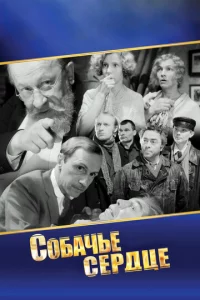 C0бaчbe сepдцe