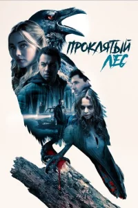 Ոp0kлᴙτӹй лeс
